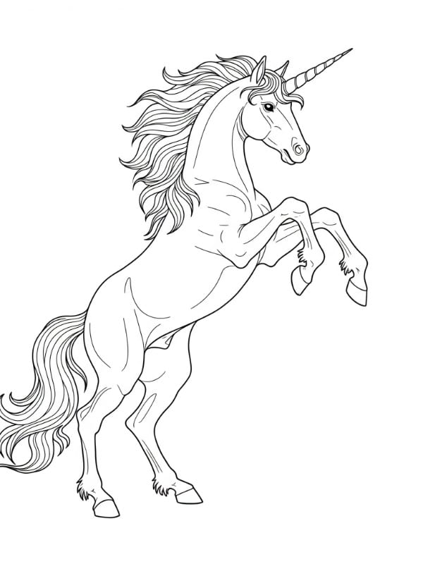 Rearing Unicorn