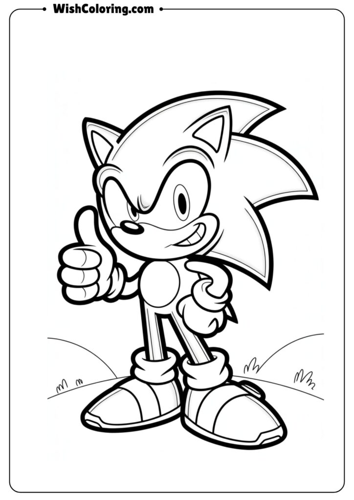 Sonic After the Win