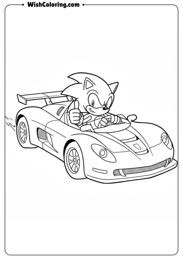 Sonic in a Race Car